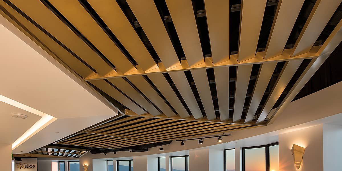 Linear Design Options - The Association of the Wall and Ceiling Industry